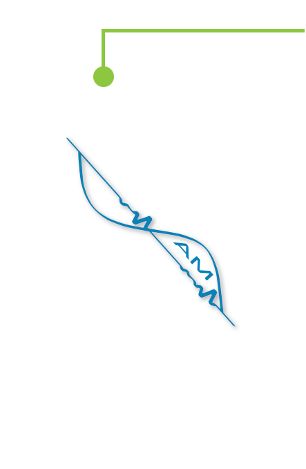 exploded spx label resonator layer with iindicator
